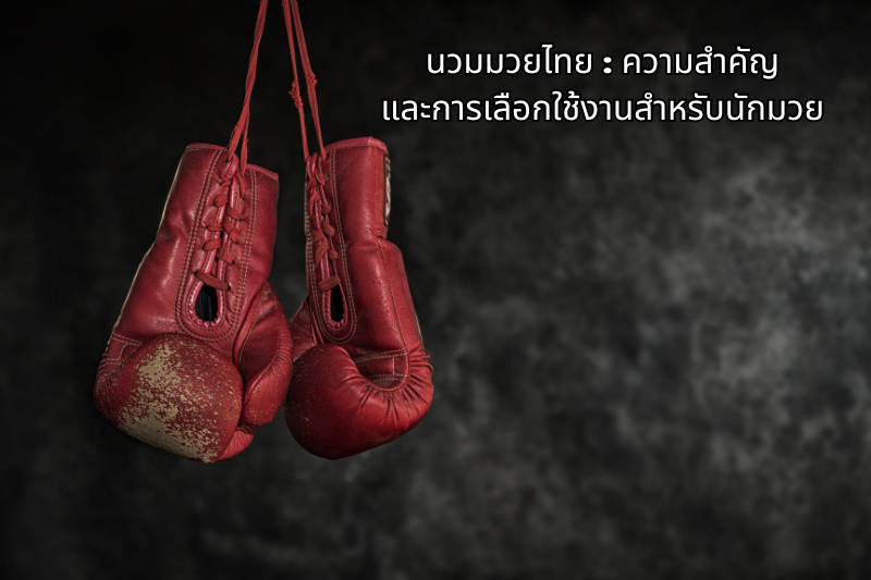 นวมมวยไทย : ความสำคัญและการเลือกใช้งานสำหรับนักมวย